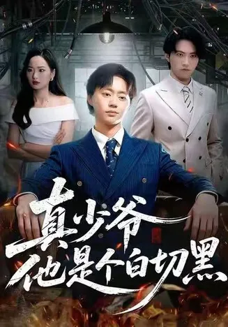 真少爷他是个白切黑在线观看