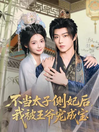 不当太子侧妃后，我被王爷宠成宝在线观看