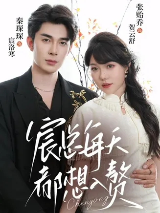 宸总每天都想入赘在线观看