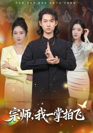 宗师,我一掌拍飞在线观看