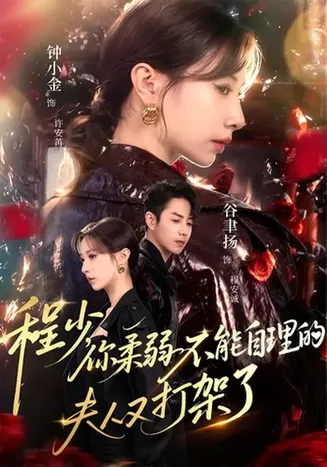 程少你柔弱不能自理的夫人又打架了在线观看