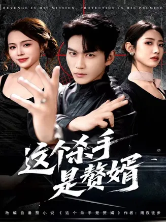 这个杀手是赘婿在线观看