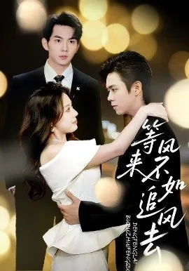 等风来不如追风去在线观看