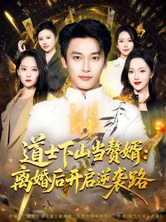 道士下山当赘婿:离婚后开启逆袭路在线观看