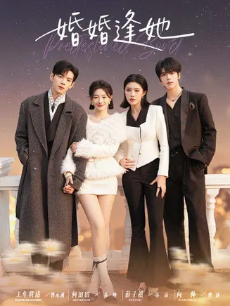 婚婚逢她在线观看
