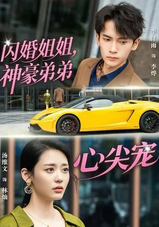 闪婚姐姐，神豪弟弟心尖宠在线观看