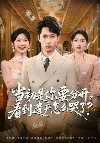 当初是你要分开，看到遗产怎么哭了？在线观看