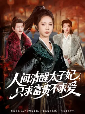 人间清醒太子妃，只求富贵不求爱在线观看