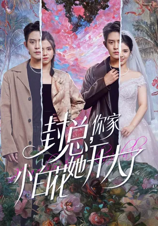 封总，你家小白花她开大了在线观看