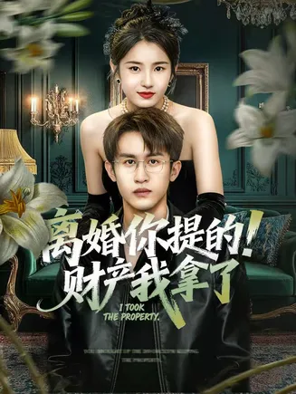 离婚你提的！财产我拿了在线观看