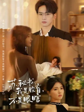 苏秘书我是脸盲不是眼瞎在线观看
