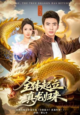 全体起立，真龙归来在线观看