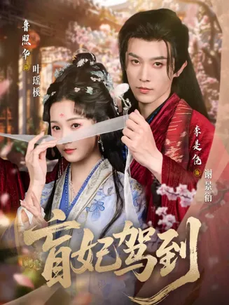 盲妃驾到在线观看