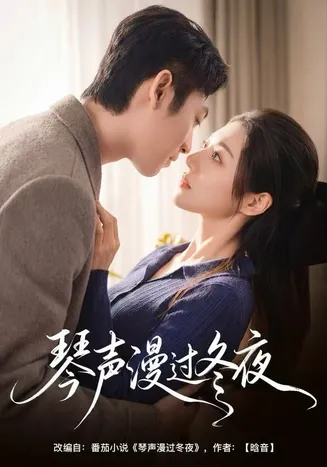琴声漫过冬夜在线观看