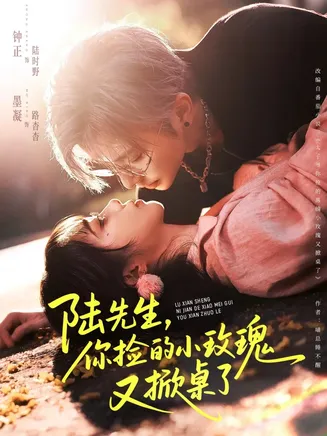 陆先生，你捡的小玫瑰又掀桌了在线观看