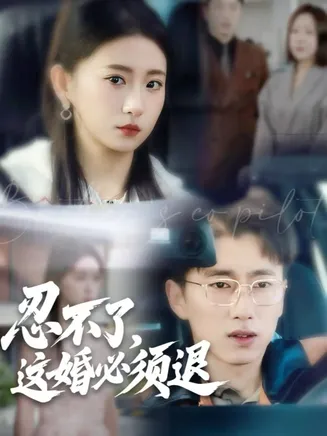 忍不了，这婚必须退在线观看