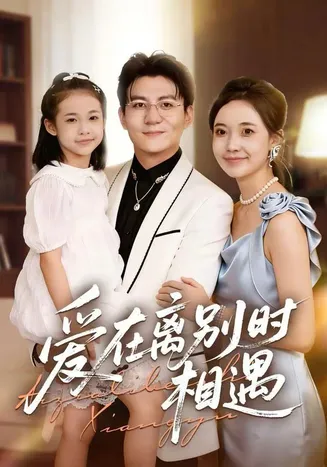 爱在离别时相遇在线观看
