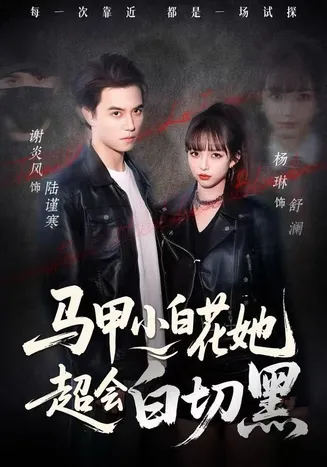 马甲小白花她超会白切黑在线观看