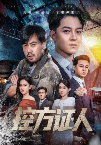 短剧控方证人在线观看