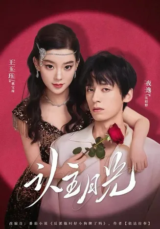 认主月光在线观看