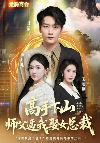 高手下山师父逼我去娶女总裁在线观看