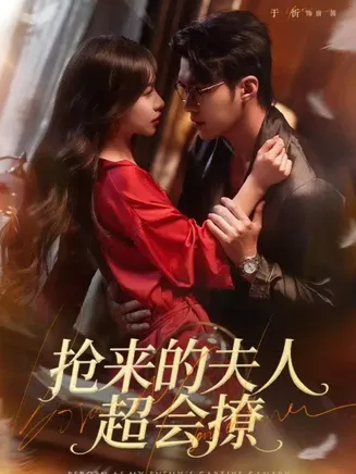 抢来的夫人超会撩在线观看