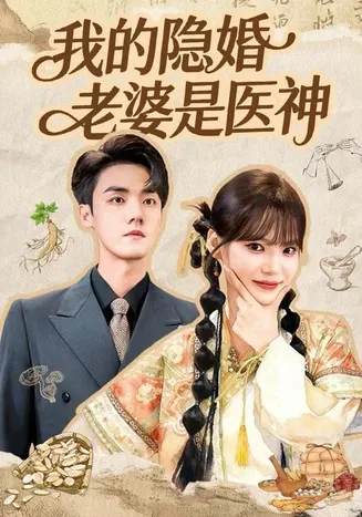 我的隐婚老婆是医神在线观看