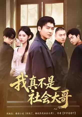 我真不是社会大哥在线观看