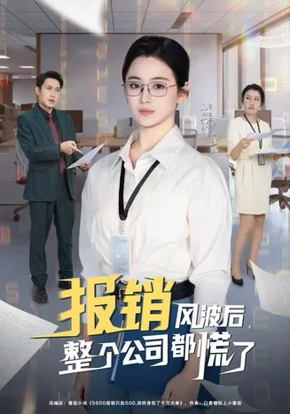 报销风波后，整个公司都慌了在线观看