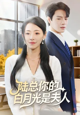 陆总你的白月光是夫人在线观看