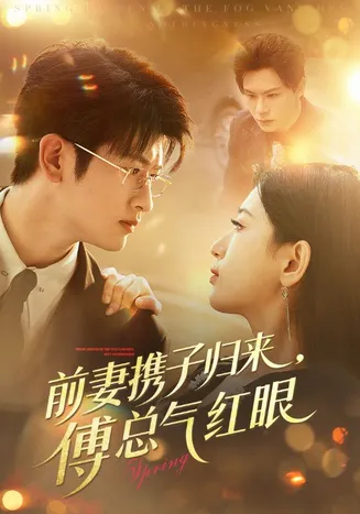 前妻携子归来傅总气红眼在线观看