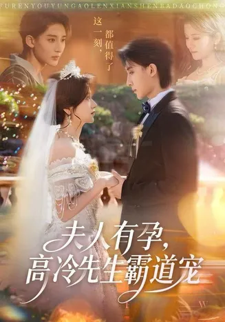 夫人有孕，高冷先生霸道宠在线观看