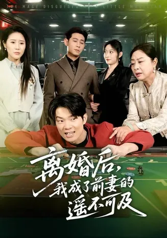 离婚后，我成了前妻的遥不可及在线观看