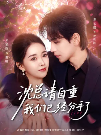 沈总请自重我们已经分手了在线观看