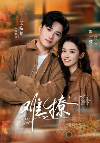 难撩在线观看