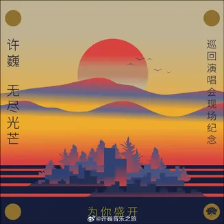 为你盛开—许巍《无尽光芒》巡回演唱会现场纪念在线观看