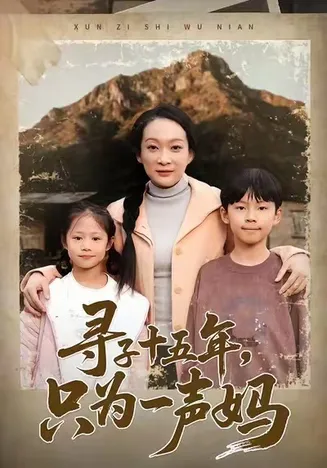 寻子十五年，只为一声妈在线观看