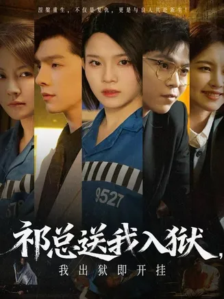 祁总送我入狱，我出狱即开挂在线观看