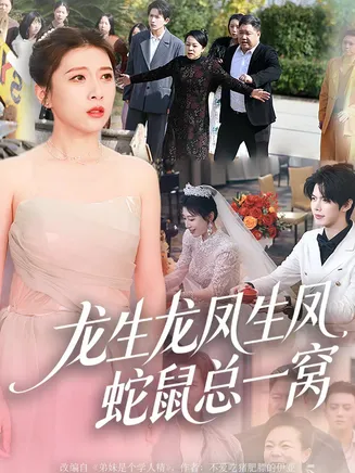 龙生龙凤生凤，蛇鼠总一窝在线观看