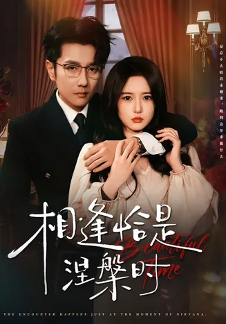 相逢恰是涅槃时在线观看