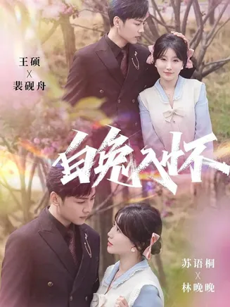 白兔入怀在线观看