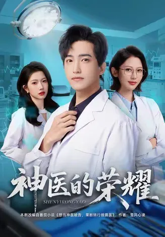 神医的荣耀在线观看