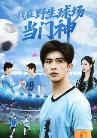 我在野生球场当门神在线观看