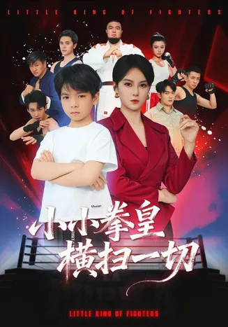 小小拳皇横扫一切在线观看