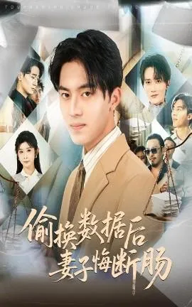 偷换数据后妻子悔断肠在线观看