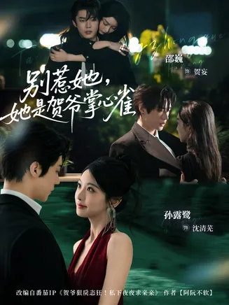 别惹她，她是贺爷掌心雀在线观看