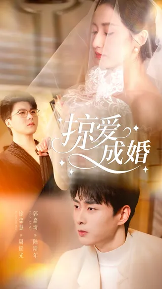 掠爱成婚在线观看