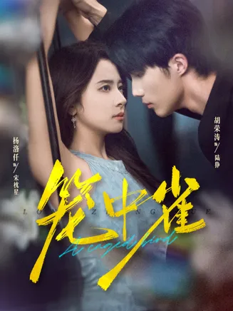 笼中雀在线观看