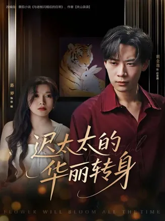 迟太太的华丽转身在线观看