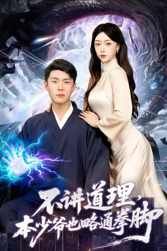 不讲道理，本少爷也略通拳脚在线观看